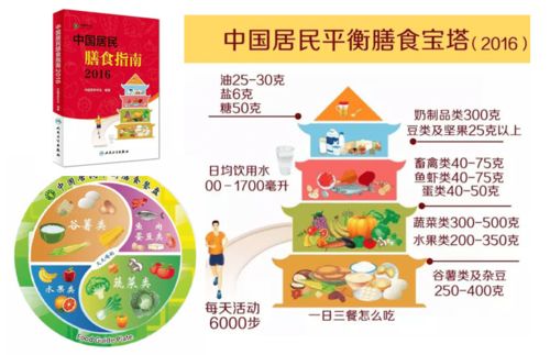原來如此 揭開食品添加劑的神秘面紗與營養(yǎng)配餐的和諧之道